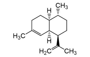 CAS No : 2731858-23-2, Product Name : Labetalol Acetonide