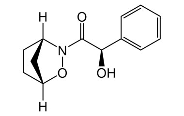 PA 02 1911016