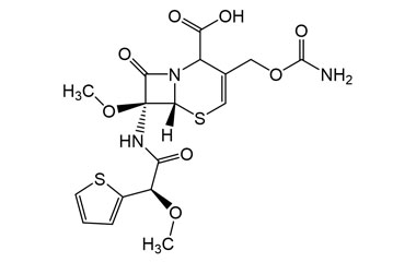 PA 03 0281005