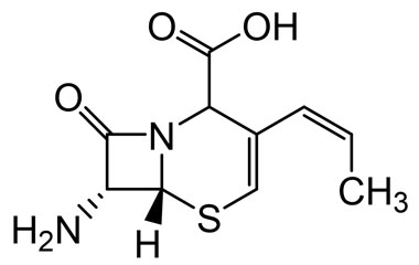 PA 03 0911002