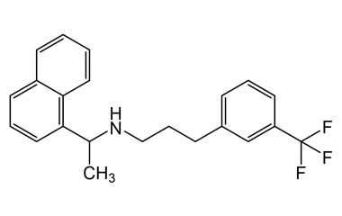 PA 03 3381020