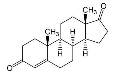 PA 04 0681005