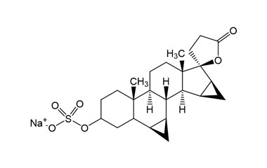 PA 04 0681010