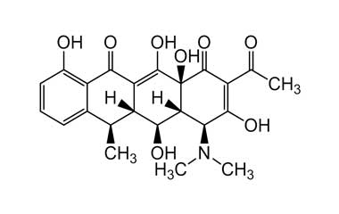 9-tert-Butyl Doxycycline HCl - Echelon Biosciences