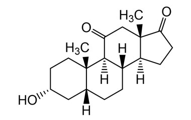 PA 05 1931000