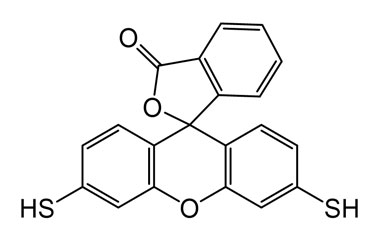 PA 06 0321024