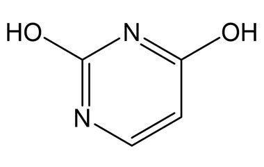 PA 06 0331010