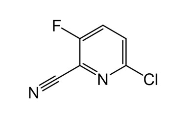 PA 06 1541024