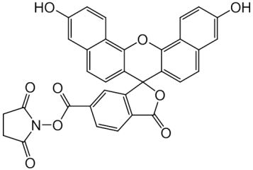 PA 06 32670