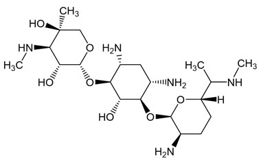 (2R,3R,4R,5R)-2-(((1S,2S,3R,4S,6R)-4,6-Diamino-3-( PA 07 0431013