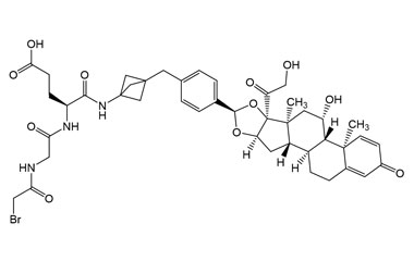 (S)-4-(2-(2-Bromoacetamido)acetamido)-5-((3-(4-((6 PA 08 0131054