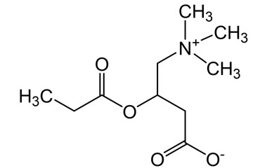 PA 12 0301007