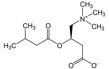 31023-24-2