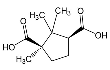 124-83-4