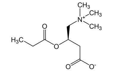 PA 12 0301013