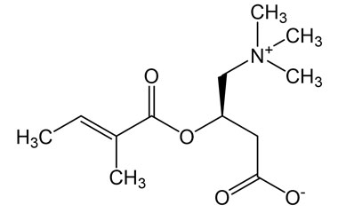 PA 12 0301014