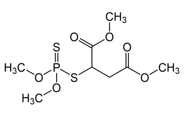 PA 13 0011002