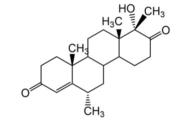 PA 13 0111002