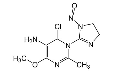 PA 13 0561004