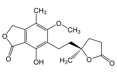 PA 13 0571011