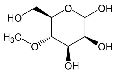 PA 13 0681001