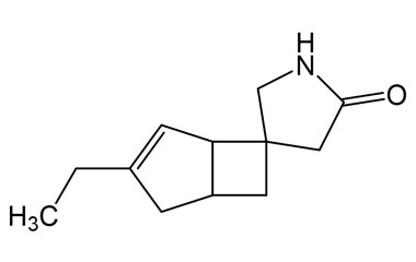 PA 13 2351024