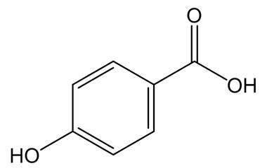 PA 13 31010