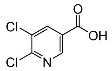 PA 14 0221002