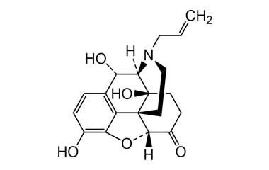 PA 14 06030