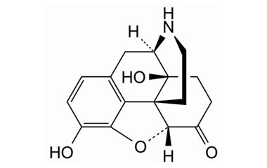 PA 14 08020