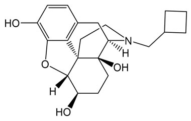 PA 14 1301001