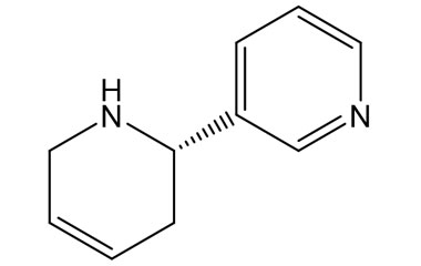 PA 14 21010