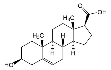 PA 16 2771011