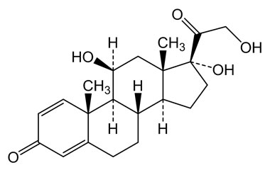 50-24-8