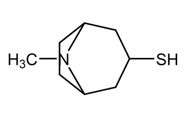 PA 18 1101006