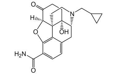 PA 19 1981003