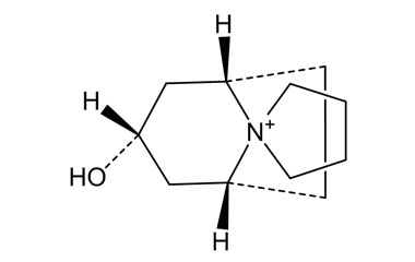 PA 20 0610030