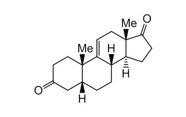 PA 20 15600