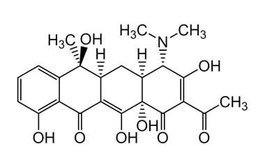 PA 20 21020