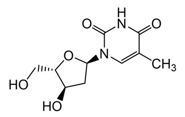 PA 20 3031004