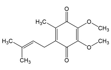 PA 21 0011004