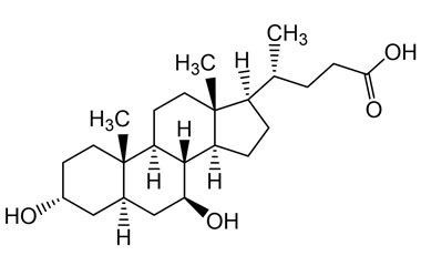 PA 21 0041010