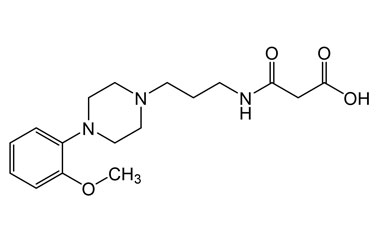 PA 21 0101006