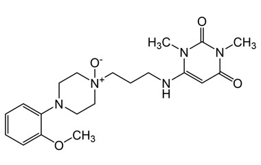 PA 21 0101007