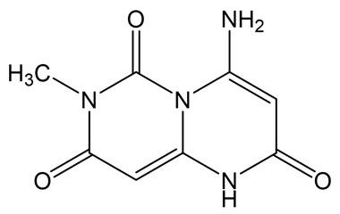 PA 21 0101010