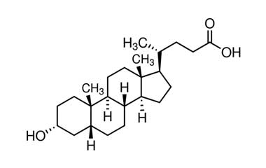 PA 21 04030