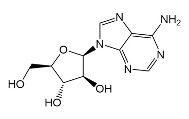 PA 22 0950000