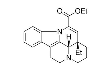 PA 22 10000