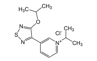 PA 24 0111013