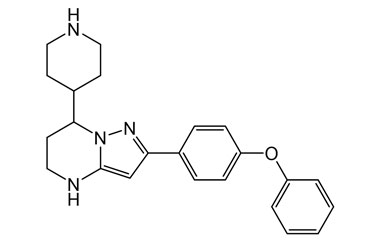 PA 26 0391006